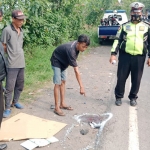 Petugas saat melakukan olah TKP kecelakaan yang melibatkan pelajar di Jalan Raya Lingkar Timur Sidoarjo.