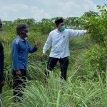 POTENSIAL: Bambang Haryo Soekartono (BHS) melihat kebun jeruk di Desa Bakung Pringgodani Balongbendo, Selasa (14/4). foto: ist