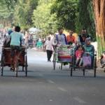 Ratusan tukang becak di kawasan Sunan Bonang sedang mengantarkan penumpang. foto: SUWANDI/ BANGSAONLINE