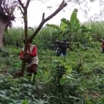 Relawan dari Komunitas Oleng-Oleng saat menggelar aksi tanam pohon dan perawatan di Sumber Banaran, Desa Tempurejo, Kecamatan Wates, Kabupaten Kediri. foto: ist.