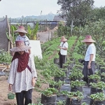 Salah satu destinasi wisata yang ramai dikunjungi wisatawan mancanegara di Kota Batu.