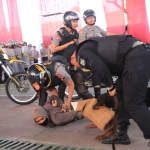 Petugas Propam Polres Kediri saat memeriksa urine sejumlah anggota opsnal.