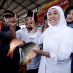 Khofifah saat  mengunjungi Pasar Ikan Lamongan.