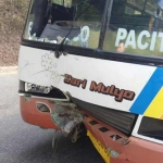 Bus Sari Mulyo yang penyok di bagian depan setelah bertabrakan dengan pemotor. 
