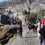 Para pengunjung saat menunju ke kawah Gunung Bromo.