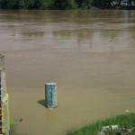 NAIK: Tinggi muka air Sungai Bengawan Solo di Bojonegoro kembali naik. Foto: Eky Nurhadi/BangsaOnline.com