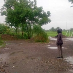 Warga menunjukkan TKP jambret.