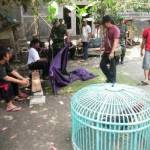?Aparat Kodim mengumpulkan barang bukti di sekitaran arena sabung ayam. Foto:imam hambali/BANGSAONLINE