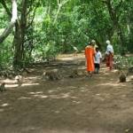 Hutan Kera di Desa Betioh, Kecamatan Banyuates Sampang. foto: Bahri/BangsaOnline.