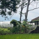 Bangkai Pesawat di Halaman Rumah Kosong di Mojokerto yang menggegerkan warga. Foto: detikcom