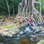 Para pengunjung sedang menikmati Wisata Alam Akar Seribu.