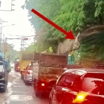 Jalan Semut Kali yang terlihat sempit karena terdapat truk besar parkir berdekatan dengan lampu lalu lintas.