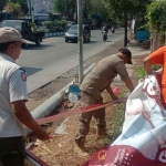 Petugas dari Satpol PP Kota Probolinggo saat menertibkan salah satu reklame.