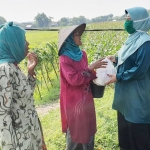 Neng Fitri saat membagikan paket sembako di wilayah persawahan Kraton, Kabupaten Pasuruan, Sabtu (4/4).
