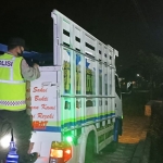 Petugas dari Polsek Ngantang Polres Batu saat mengecek truk pembawa hewan ternak.