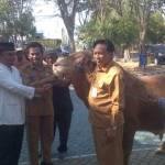 Bupati-Wabup, Sambari-Qosim serahkan hewan kurban sapi. foto: syuhud/BANGSAONLINE