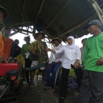 Khofifah Indar Parawansa saat menyambangi petani di Jombang. Foto: RONY S/BANGSAONLINE

