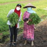 Petani sayur, Mispah bersama Ketua TP PKK Sidoarjo Sa