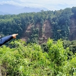 Salah satu relawan ARPLH Kediri saat menunjukkan beberapa bagian tebing yang longsor, Minggu (21/2) kemarin. foto: MUJI HARJITA/ BANGSAONLINE