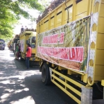 Deretan truk muatan tebu terparkir di Desa Tugurejo Kecamatan Ngasem Kabupaten Kediri dan tidak dibawa ke Pabrik Gula Pesantren Baru.