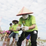 Bupati Situbondo, Karna Suswandi saat melakukan uji coba benih unggul.