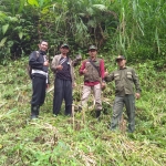 Perwakilan Perum Perhutani RPH Karangrejo BKPH Tulungagung, KPHL Sendang, PSHT Sendang, dan LMDH Argo Mulyo, saat penanaman pohon di Lereng Gunung Wilis.