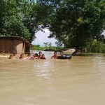 Sejumlah bocah berenang di genangan banjir akibat luapan sungai Bengawan Solo. foto: EKY NURHADI/ BANGSAONLINE