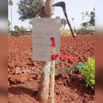 Warga memasang papan penolakan di lahan miliknya menentang survei seismik yang dilakukan PHE lantaran dinilai tanpa sosialisasi.