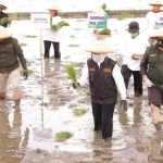 Gubernur Jawa Timur Khofifah Indar Parawansa secara simbolik melakukan Gerakan Percepatan Tanam Padi pada musim kemarau guna mewujudkan ketahanan pangan di Desa Bangunjaya, Kecamatan Pakel, Kabupten Tulungagung, Minggu (7/6). foto: IST/ BANGSAONLINE.COM