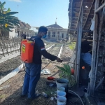 FRPB Pamekasan saat melakuka penyemprotan disinfektan ke kandang sapi.