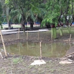 Kondisi Alun-alun Kota Probolinggo yang banyak genangan pasca proyek revitalisasi mandek.