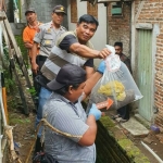 Petugas menunjukkan jasad bayi usai dibongkar dari kuburannya di samping rumah seorang janda muda.