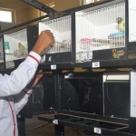 Wakil Bupati Sumenp Achmad Fauzi, S.H, saat membuka Kontes Love Bird di Lapangan Kartini Group, Jalan Jenderal Sudirman, Ahad (20/10/2019).