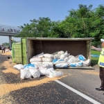 Kondisi truk bermuatan jagung yang terguling usai diseruduk bus dari belakang.