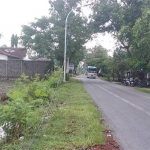 Kabel PJU di salah satu titik jalan Kecamatan Senori tampak menjuntai di sisi jalan.