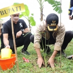 Bupati Tuban, Aditya Halindra Faridzky, saat menanam rumput vetiver di sepanjang bantaran Sungai Kening.