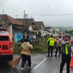 Petugas saat mengevakuasi pohon tumbang yang menimpa pelajar di Kota Batu.