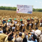 Rektor UTM Dr. Moh. Syarif bersama Kepala BI Jatim Difi Ahmad Johansah, Bupati Abdul Latif Imron, Kepala Dinas Ketahanan Pangan Jatim Hadi Sulistyo saat menunjukkan jagung varietas Madura 3. foto: SUBAIDAH/ BANGSAONLINE