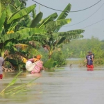 Kondisi banjir di Baureno.