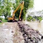 Alat backhoe dikerahkan untuk bikin tanggul darurat. foto: eky nurhadi/BANGSAONLINE