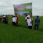 Bupati Jember, Hendy Siswanto, saat melaunching pemberian pupuk di Desa Lengkong, Kecamatan Mumbulsari, bersama petani dan pemerintah desa setempat.