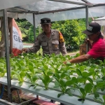 Petugas dari Polsek Candi saat meninjau keberlangsungan program ketahanan pangan di Desa Gelam.