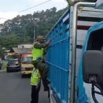 Polres Batu bersama instansi terkait saat menghentikan kendaraan pengangkut ternak untuk pemeriksaan.