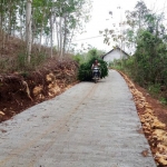 Salah satu warga Desa Kedungsalam saat membawa rumput melalui jalan yang sudah halus.