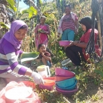 Nikmatnya makan di tengah sawah.