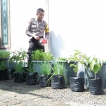 Bripka Bambang sedang memeriksa sayuran dan ikan lelenya.