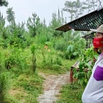 Dayin, warga Petungroto saat di lokasi Desa Wisata Taman Wono Bedengan. foto: MUJI HARJITA/ BANGSAONLINE