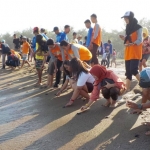 Prosesi pelepasan tukik di Pantai Pancer Door.