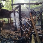 Kondisi kandang sapi yang hangus dilalap api.
