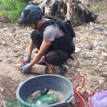 Petugas Jihandak hendak meledakkan Mortir dan Granat yang ditemukan di Sungai Bengawan Solo, Bojonegoro.